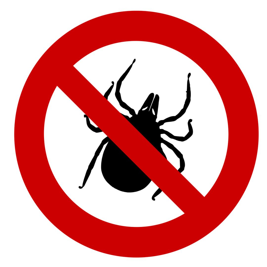 7.png 7.png